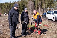 Bild: Baumzeit am Josephskreuz