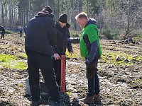 Bild: Baumzeit am Josephskreuz