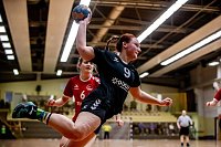 Bild: Handballergebnisdient der Damen