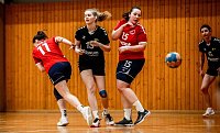 Bild: Handballergebnisdient der Damen