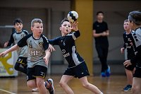 Bild: Handballergebnisdient der Damen