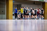 Bild: Handballergebnisdient der Damen