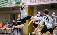 Bild: Handballergebnisdient der Damen