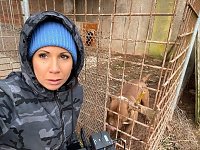 Bild: Fragw&uuml;rdige Hundehaltung in Werther