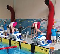 Bild: Nordh&auml;user Schwimmnachwuchs beim "Shark Day" in Halle