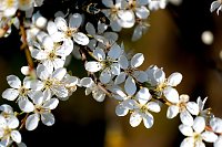 Bild: Osterspaziergang im Vorharz