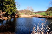 Bild: Osterspaziergang im Vorharz