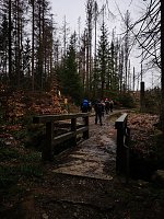 Bild: Jour Fixe im Nationalpark mit Sara Wegrzyk