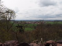 Bild: Fr&uuml;hlingsspuren auf dem Weg zur Ebersburg