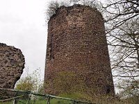 Bild: Fr&uuml;hlingsspuren auf dem Weg zur Ebersburg