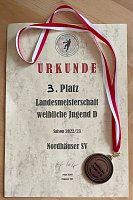Bild: Erfolgreiche weibliche D-Jugend des NSV
