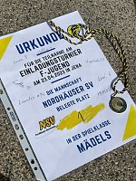 Bild: Erfolgreiche Nordh&auml;user Handballk&uuml;ken