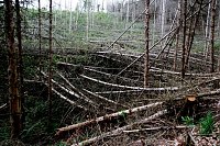 Bild: Peter Blei unterwegs in der Natur