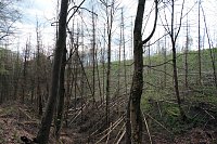 Bild: Peter Blei unterwegs in der Natur