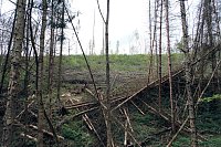Bild: Peter Blei unterwegs in der Natur