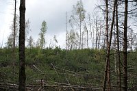 Bild: Peter Blei unterwegs in der Natur