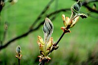 Bild: Peter Blei unterwegs in der Natur
