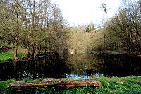 Bild: Peter Blei unterwegs in der Natur