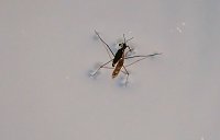 Bild: Peter Blei unterwegs in der Natur