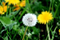 Bild: Peter Blei unterwegs in der Natur