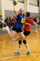 Bild: Die Handballdamen der NSV B-Jugend schaffen es aus dem Stand auf Platz 5