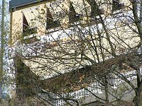 Bild: Der besondere (&Uuml;ber)Blick