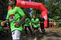 Bild: 6. Heinrich-Siesmayer Ged&auml;chtnislauf im Park Hohenrode