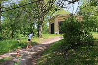 Bild: 6. Heinrich-Siesmayer Ged&auml;chtnislauf im Park Hohenrode
