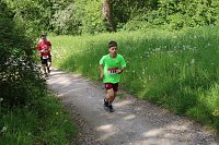 Bild: 6. Heinrich-Siesmayer Ged&auml;chtnislauf im Park Hohenrode