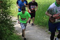 Bild: 6. Heinrich-Siesmayer Ged&auml;chtnislauf im Park Hohenrode