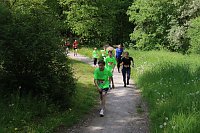 Bild: 6. Heinrich-Siesmayer Ged&auml;chtnislauf im Park Hohenrode