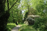 Bild: 6. Heinrich-Siesmayer Ged&auml;chtnislauf im Park Hohenrode