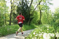 Bild: 6. Heinrich-Siesmayer Ged&auml;chtnislauf im Park Hohenrode