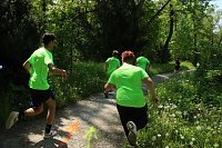 Bild: 6. Heinrich-Siesmayer Ged&auml;chtnislauf im Park Hohenrode