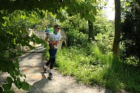 Bild: 6. Heinrich-Siesmayer Ged&auml;chtnislauf im Park Hohenrode