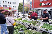 Bild: Geranienmarkt auf dem Rathausplatz