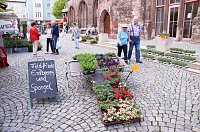 Bild: Geranienmarkt auf dem Rathausplatz