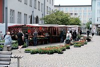 Bild: Geranienmarkt am Rathaus