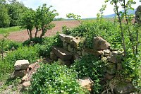Bild: Die W&uuml;stung Lindenschu