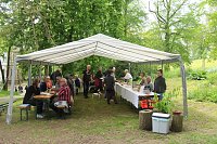 Bild: Parkfest im Park Hohenrode