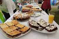 Bild: Parkfest im Park Hohenrode