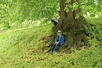 Bild: Parkfest im Park Hohenrode