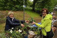 Bild: Parkfest im Park Hohenrode