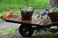 Bild: Parkfest im Park Hohenrode