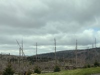 Oberharz bei Torfhaus Bild: Oberharz bei Torfhaus