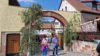 Bild: Unterwegs auf der Saale-Weinmeile