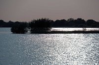 Bild: Am Stausee in Kelbra