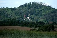 Peter Blei auf Schmetterlingssuche Bild: Peter Blei auf Schmetterlingssuche