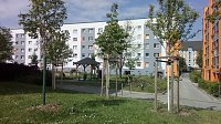 Bild: Blick auf den Aueblick