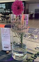 Bild: Frauentag bei den "Peters"